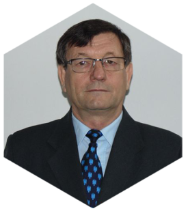 BRANDUSAN LIVIU